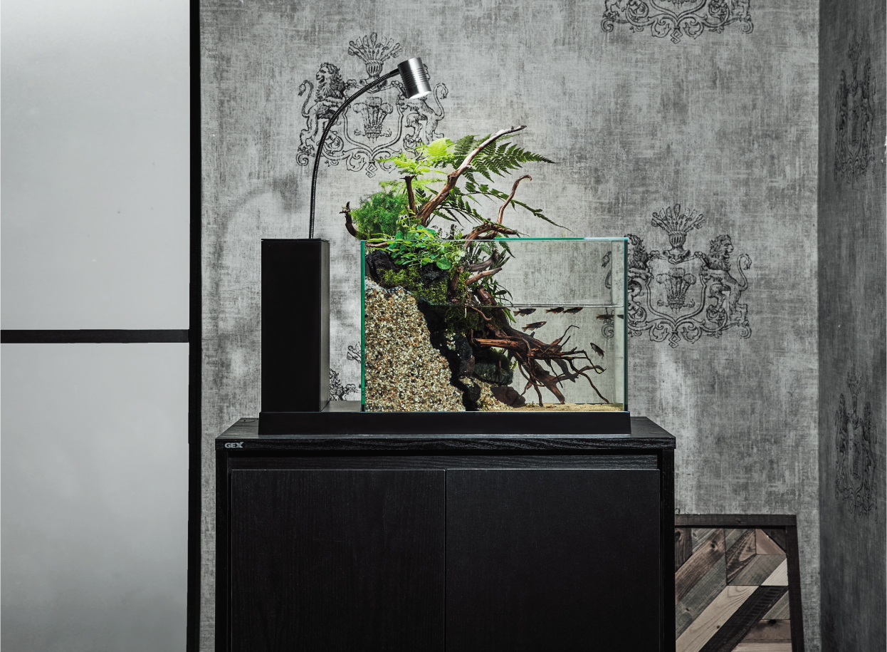 GEX aquarista