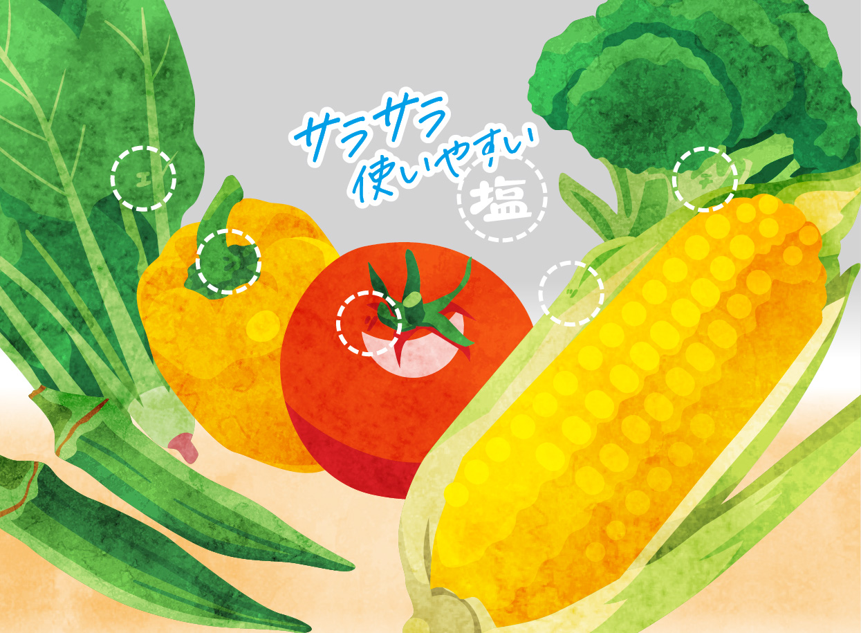 エンリッチ塩 リニューアル